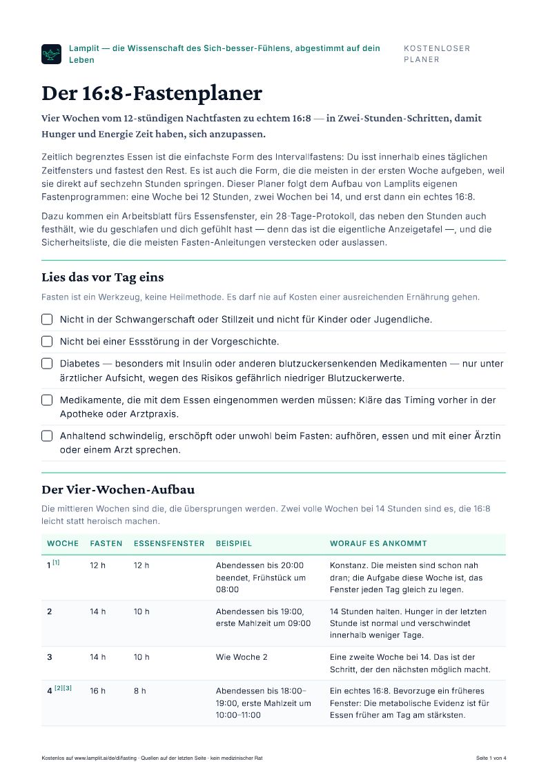 Der 16:8-Fastenplaner — Kostenloses PDF